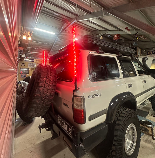 3 Foot Flimsy Whip Light ⚡️