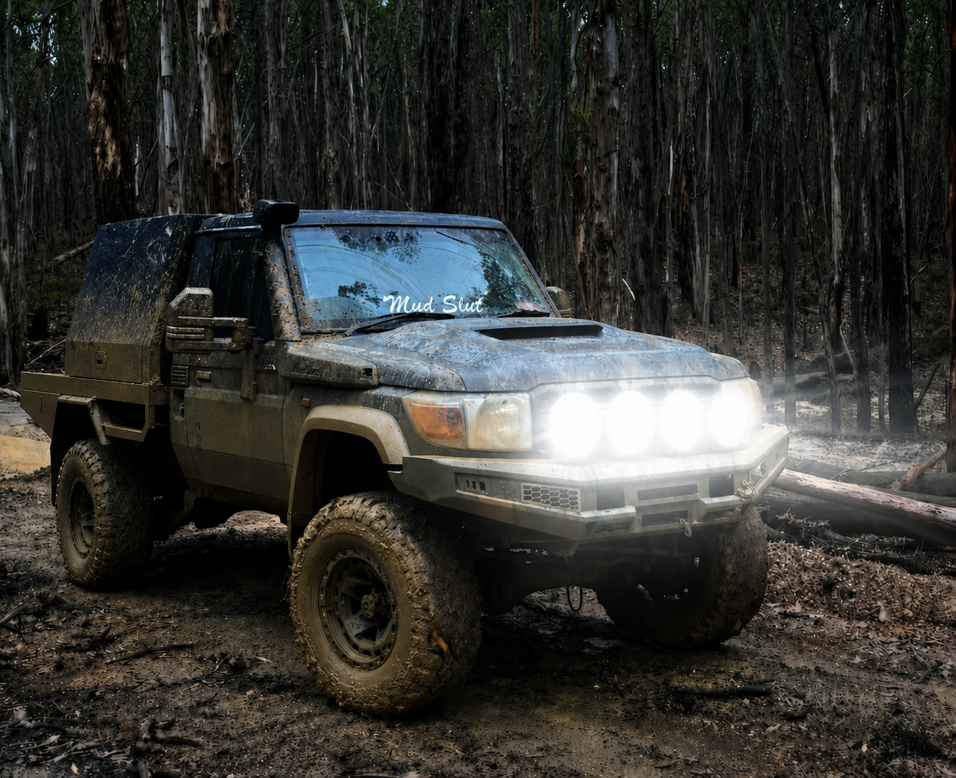 7” Spotlights