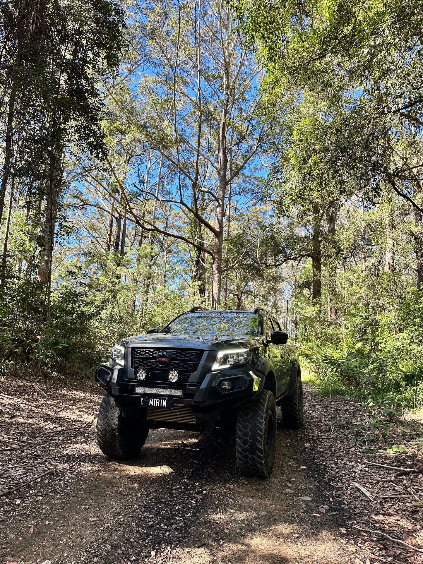 Custom 5.5" Spotlights