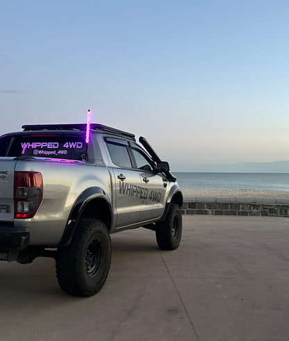 2FT LED RIGID RGB WHIP LIGHTS